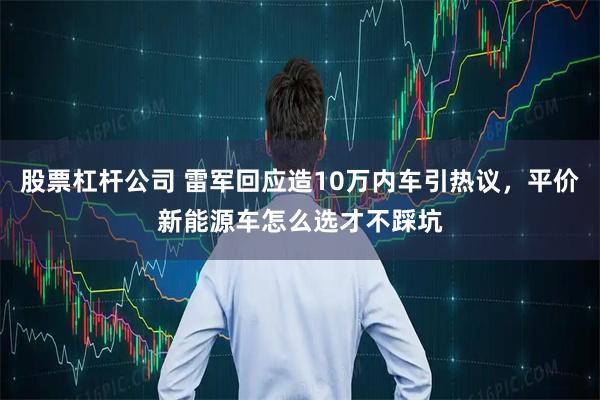 股票杠杆公司 雷军回应造10万内车引热议，平价新能源车怎么选才不踩坑