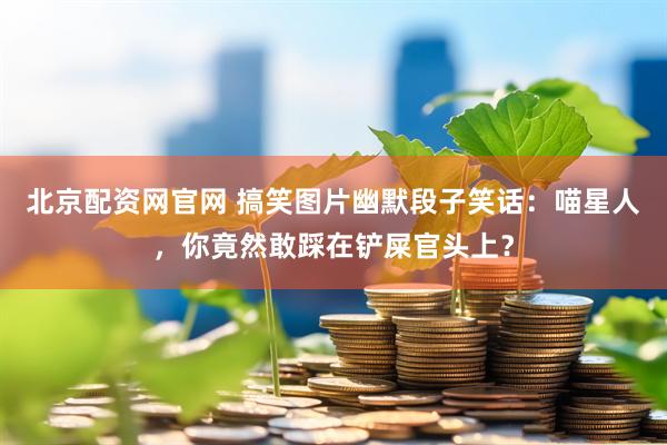 北京配资网官网 搞笑图片幽默段子笑话：喵星人，你竟然敢踩在铲屎官头上？
